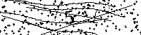 以下に表示されている数字を入力してください